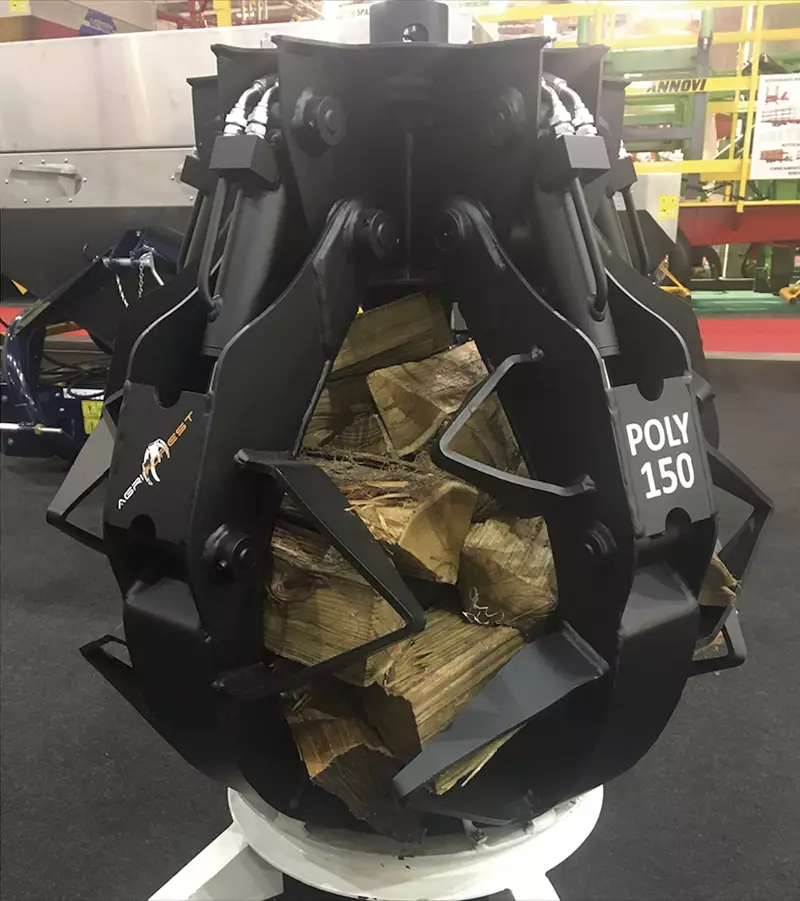 POLIPI FORESTALI POLY
